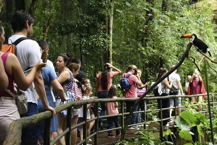 フォズ・デ・イグアスブラジルの滝とバードパーク