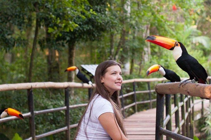 フォズ・デ・イグアスブラジルの滝とバードパーク