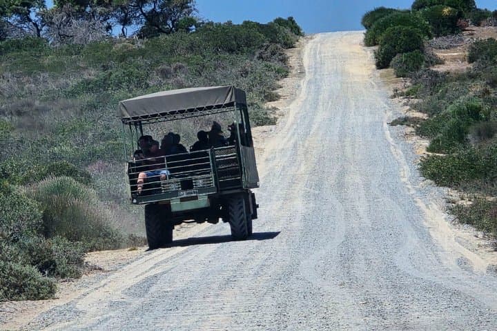 Buffelsfontein game reserve And Bird watching At West Coast Park