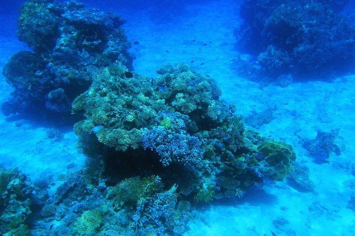 Sharm El-Sheikh : ブルーホール、キャニオン＆ダハブへのジープアドベンチャー