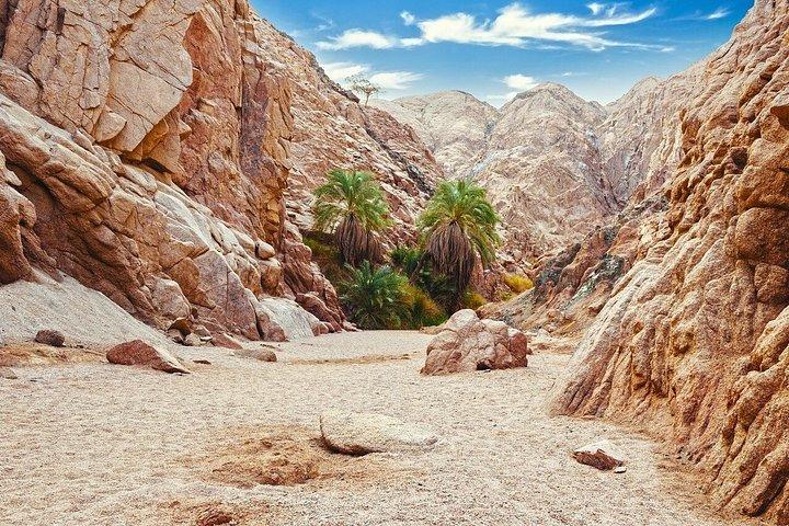Sharm El-Sheikh : ブルーホール、キャニオン＆ダハブへのジープアドベンチャー