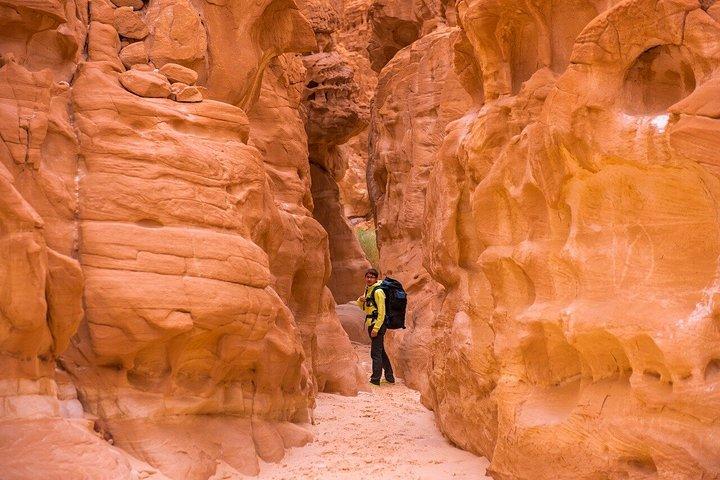 Sharm El-Sheikh : ブルーホール、キャニオン＆ダハブへのジープアドベンチャー