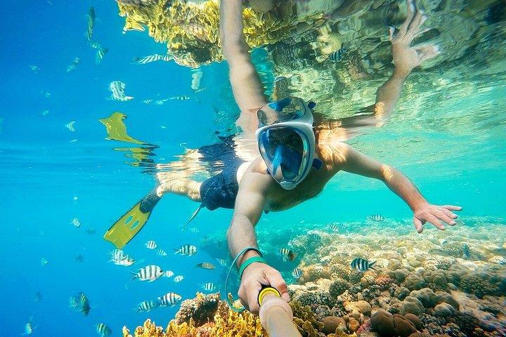 Sharm El-Sheikh : ブルーホール、キャニオン＆ダハブへのジープアドベンチャー