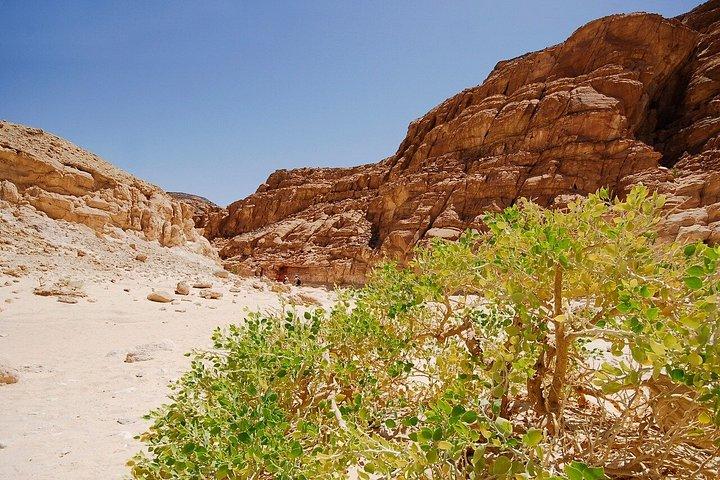 Sharm El-Sheikh : ブルーホール、キャニオン＆ダハブへのジープアドベンチャー