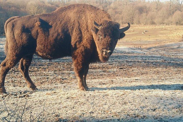 トランシルバニア山頂とプレデターによる3日間の探検