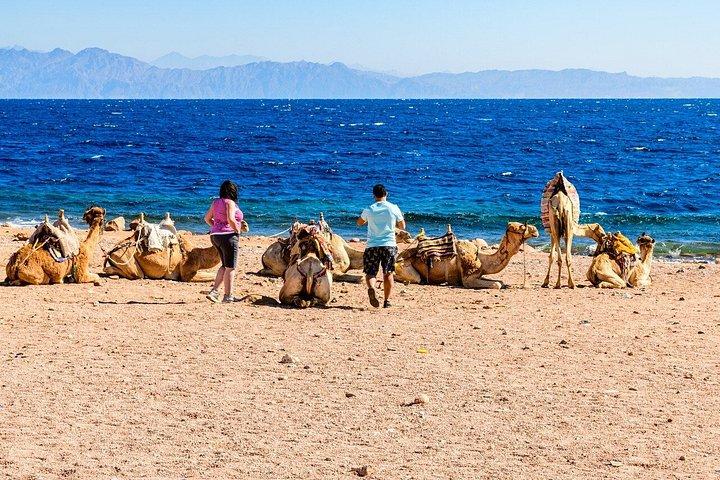 Sharm El-Sheikh : ブルーホール、キャニオン＆ダハブへのジープアドベンチャー