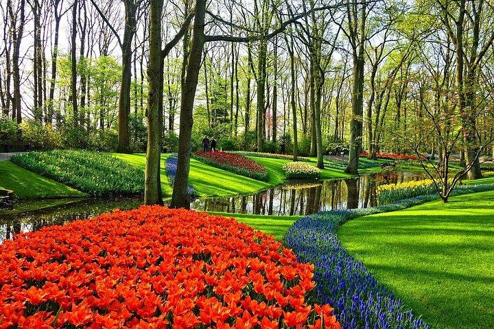 Amsterdã: Excursão privada em Keukenhof e Tulip Fields