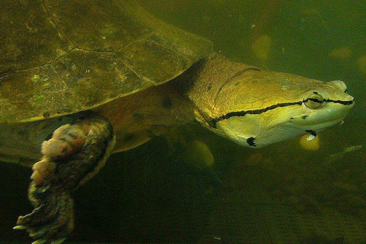 イグアスの滝（アルゼンチン＆ブラジル）＋送迎付きバイオセンター