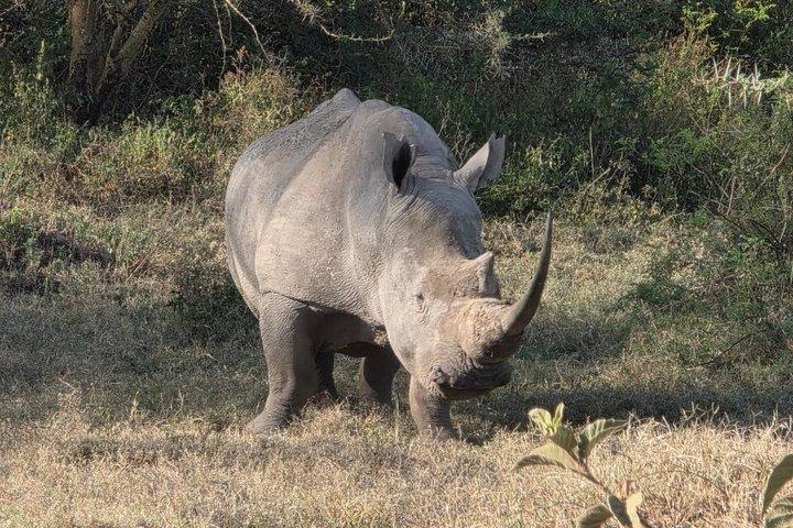 Discover Nairobi's Wonders with 4WD Multi Day
