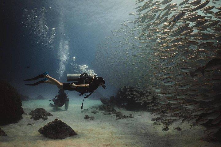 Try Scuba Diving in Racha Yai and Noi for Non-Certified