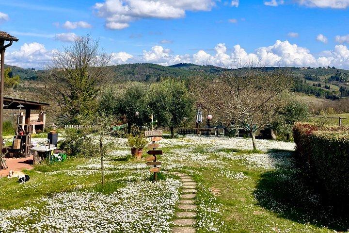 Caça de trufas em Chianti, aula de preparação de massas e almoço