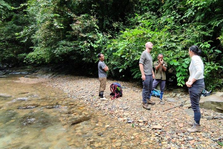 Hoteller i nærheden af Sumatra Orangutan Jungle Trek Tour Medan - Bukit Lawang