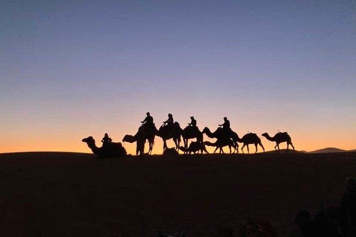 7-daagse kleiwolbrandtour Marrakech naar Marrakech