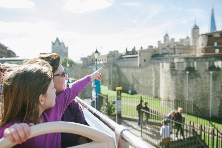 ロンドンアイチケット、ビッグバス乗り放題ツアー、テムズ川クルーズ