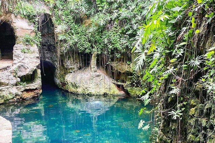 メリダツアー：素晴らしいセノーテのあるムクイチェとユンクの地所