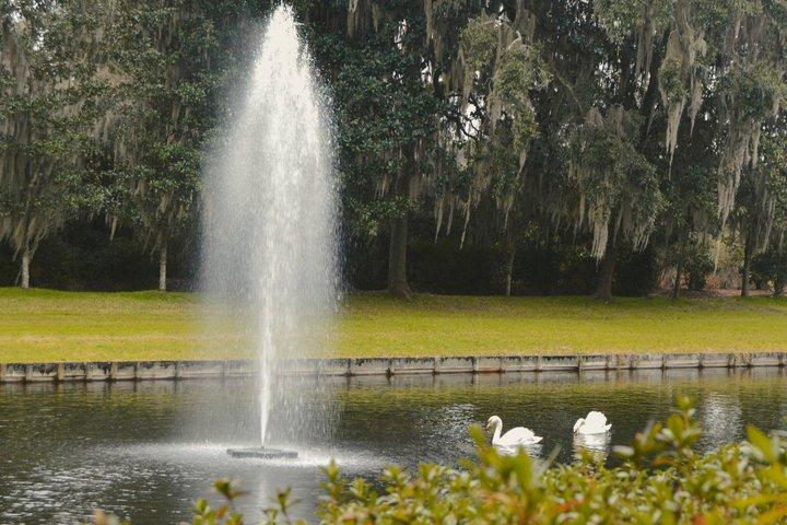 Journée à Middleton Place avec Chicora Tours