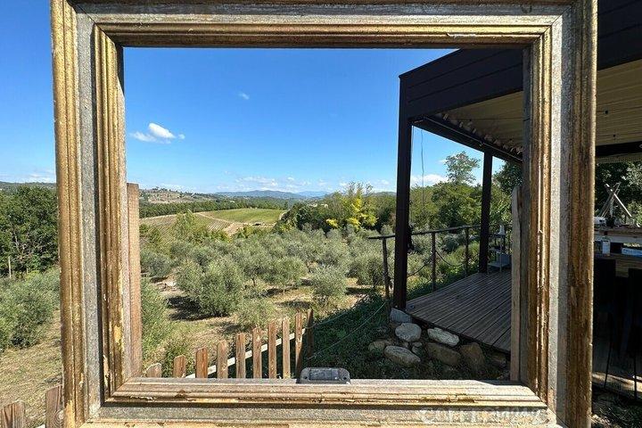 Hiking, picnic and foraging on the way+ lunch at farm in chianti