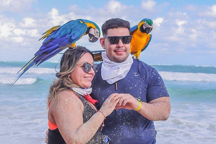Punta Cana Buggy Adventure + Cave Swim, Macau Beach & Experience