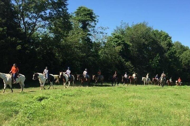 30 minuten paardrijden Trail Ride in Memphis