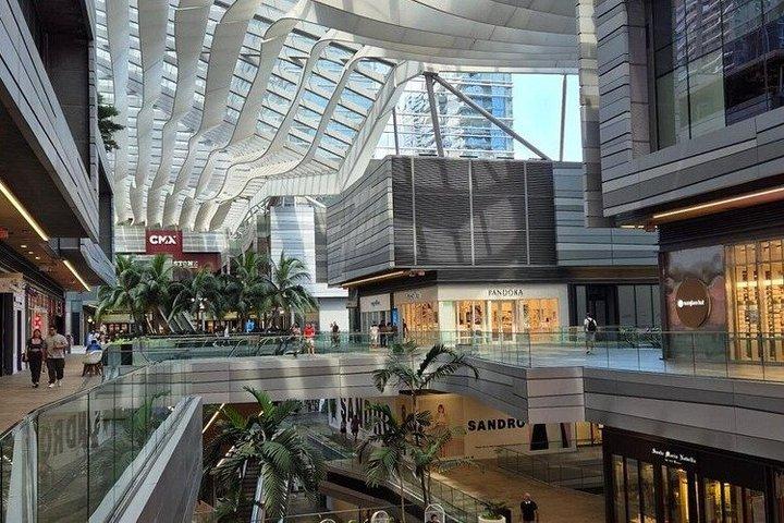 マイアミ映画・テレビロケ地ツアー（オプション）ビスカヤ美術館付き