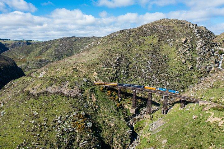 Taieri Gorge Scenic Railway Journey from Dunedin