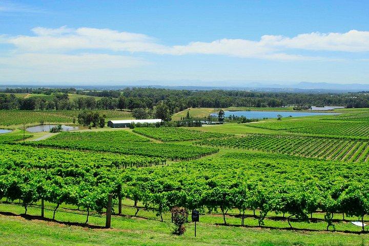 Private Hunter Valley Food & Wine Tour