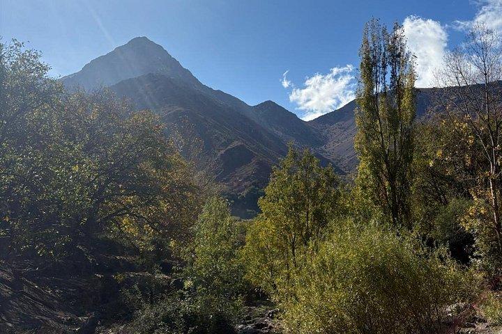 Atlas Mountains dagstur til Imlil med frokost i væbnet