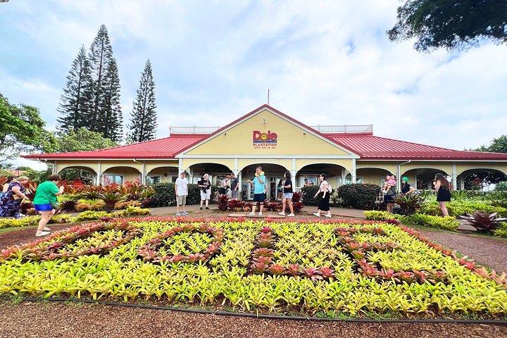 オアフ島：マウカ戦士ルアウ、ラム酒テイスティング、ドールプランテーションツアー