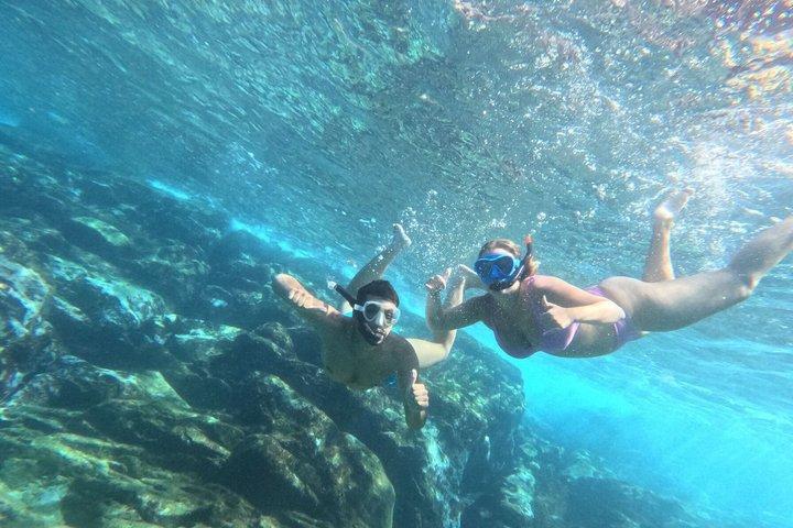テネリフェ島でのガイド付きカヤックとシュノーケリングアドベンチャー