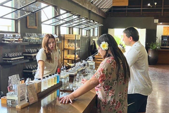 Oahu: Dole Plantation and Ko Hana Distillery with Rum Tasting