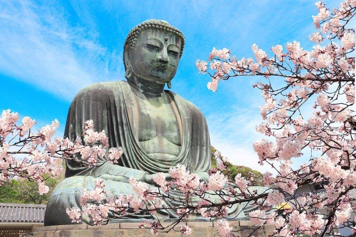 Kamakura, Enoshima o Yokohama 1 - Tour in autobus di un giorno da Tokyo