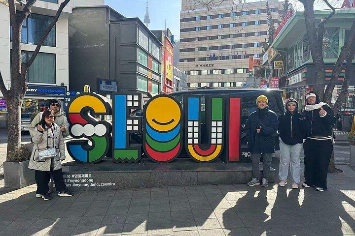現地人とのソウルプライベート体験：フレキシブルハイライトツアー