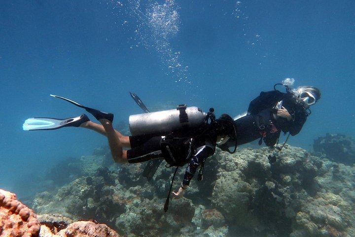 Rangiroa Discover Scuba Diving in French Polynesia