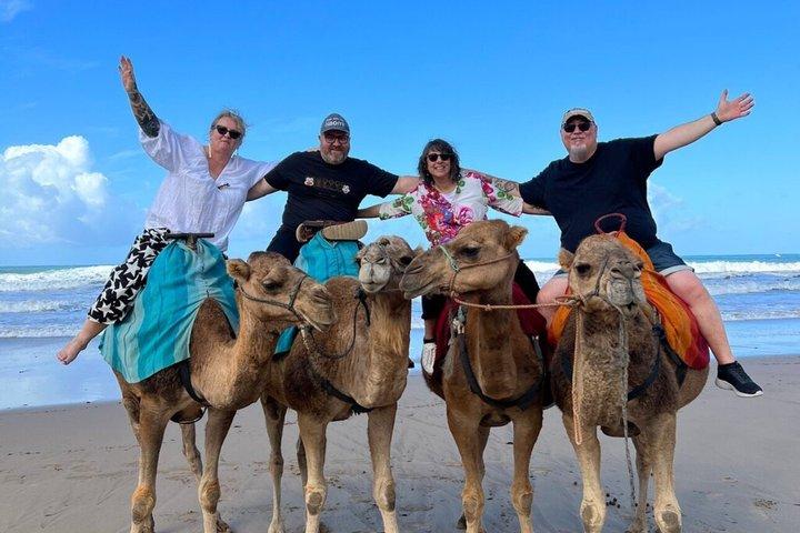 Tangier Cruise Ship Excursion - Private Guided Tour & camel ride