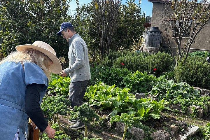 Farm to Table Cooking Experience in San Miguel