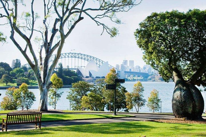 Escursione a Sydney City e pranzo all'Opera Bar