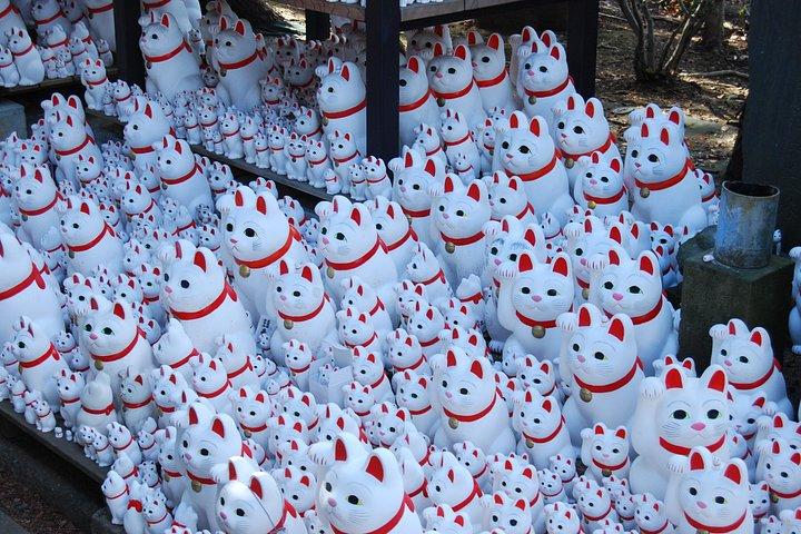 東京：豪徳寺カルチャーウォーク＆ラッキーキャットテンプル体験