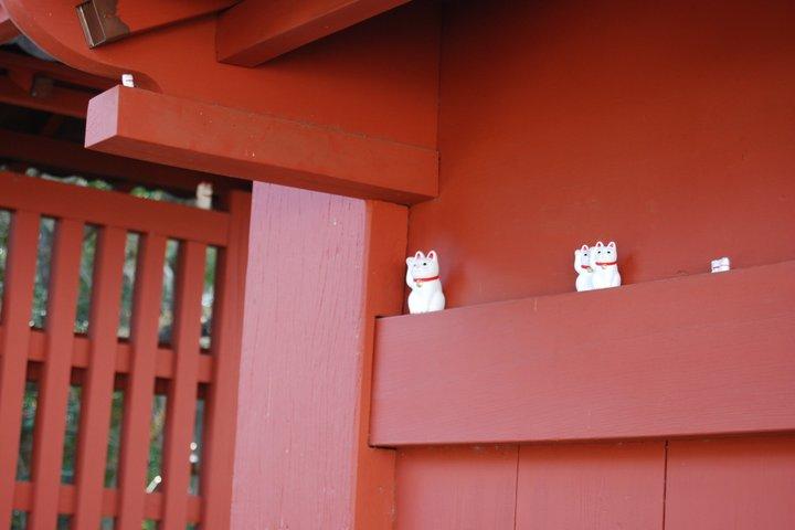 東京：豪徳寺カルチャーウォーク＆ラッキーキャットテンプル体験