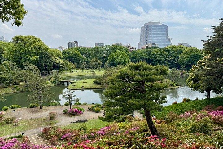 Day Trip Cycling in Tokyo
