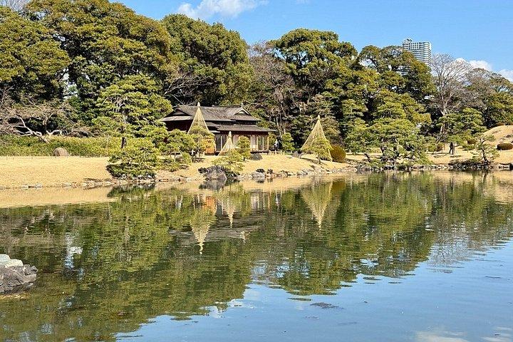 Day Trip Cycling in Tokyo