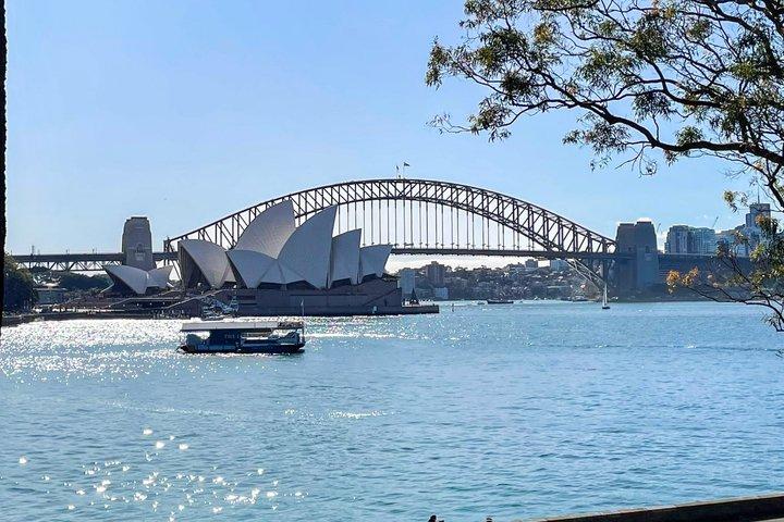 Escursione a Sydney City e pranzo all'Opera Bar