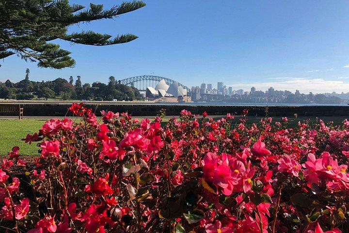 Sydney City Hike and Lunch at Opera Bar