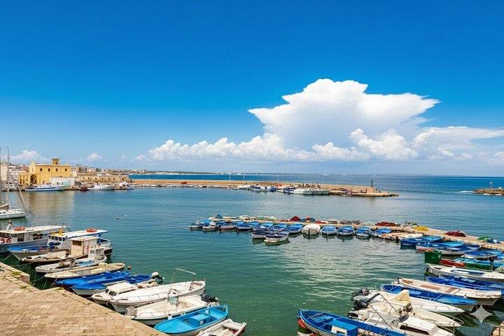 From Lecce & Brindisi: Gallipoli, Otranto & Hidden Gems