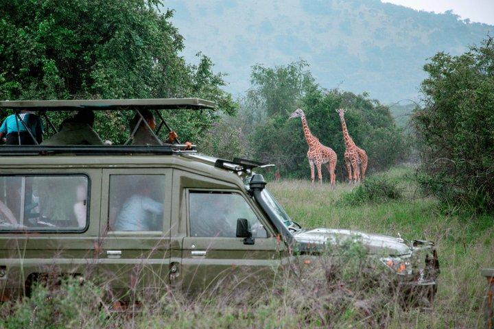 5 giorni Akagera e Parco Nazionale dei Vulcani