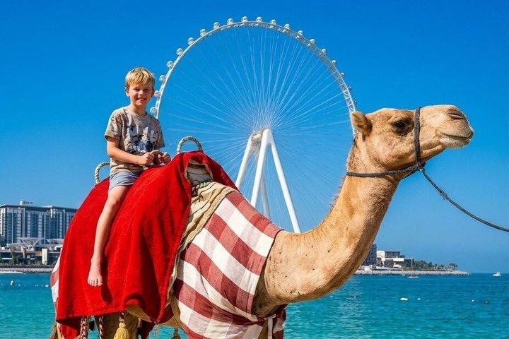 Camel Ride Along JBR Beach com vistas de Dubai