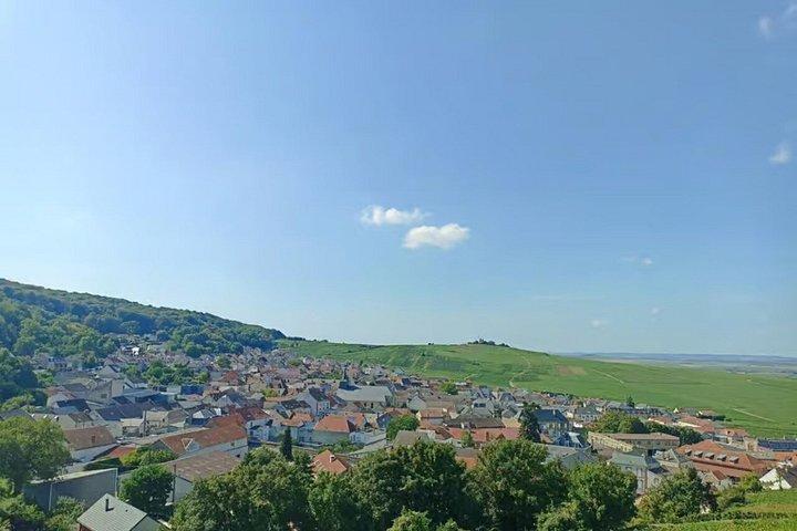 パリ発プライベートシャンパーニュ日帰り旅行7つのテイスティング＆ランチ付き