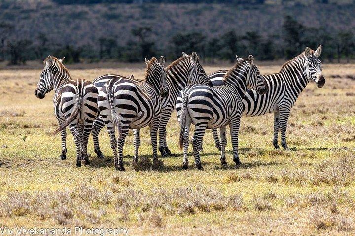 14 Day Gorilla Trekking Kenya Tanzania and Beach Holiday