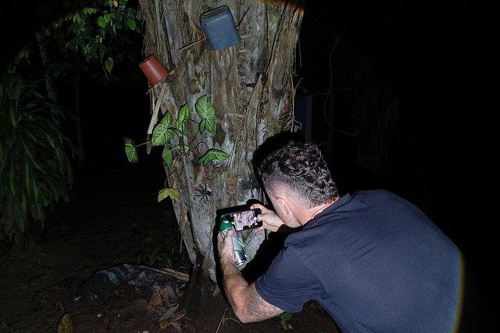 Night walk and search for tarantula sloths