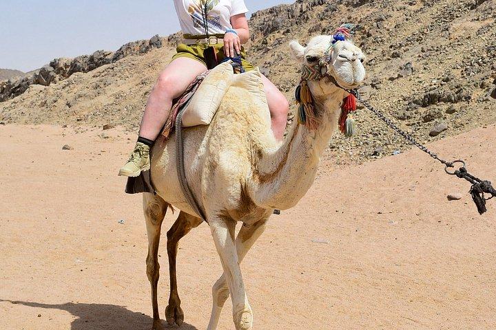 ピラミッドとヘルガダからのニューGEMプライベート日帰り旅行