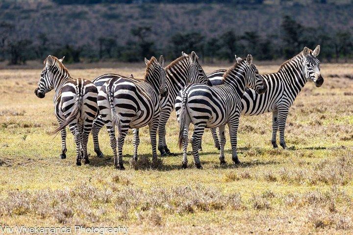 14 giorni Safari in Kenya e Tanzania